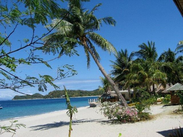 El Canonero Diving Beach Resort Puerto Galera Buitenkant foto